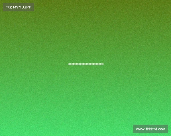 迪马济奥：罗马难以满足狼队对法比奥席尔瓦的高额要价