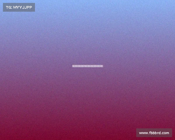 踢假球现象背后的利益链条与道德危机深度剖析